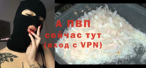амф Богородицк