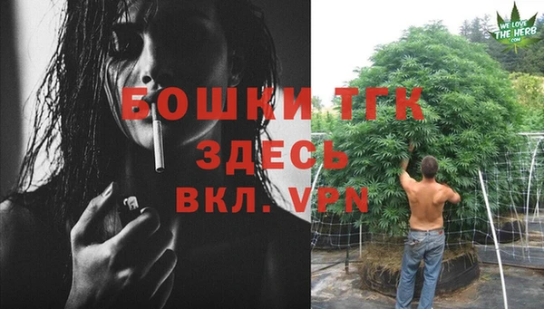дмт Богородск
