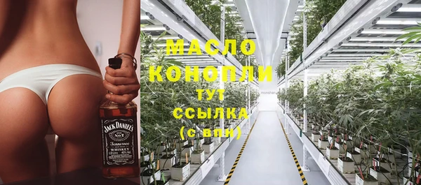 дмт Богородск
